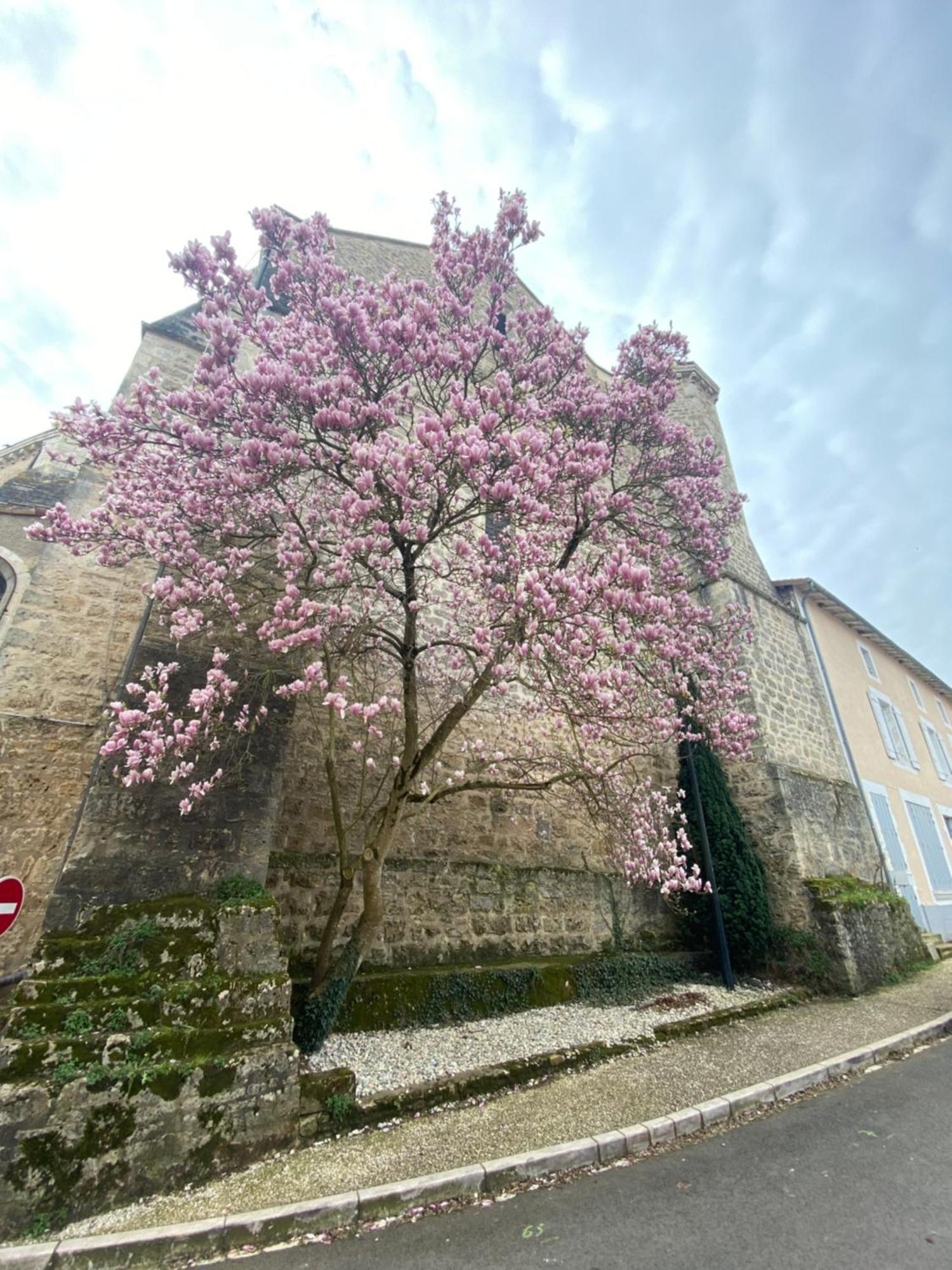 Logis Hotel Le Saint Georges Vivonne Luaran gambar